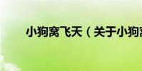 小狗窩飛天(關于小狗窩飛天簡介)