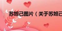 蘇妲己圖片(關于蘇妲己圖片的簡介)