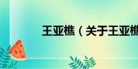 王亞樵(關于王亞樵的簡介)