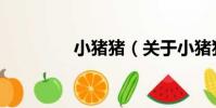 小豬豬(關于小豬豬簡介)