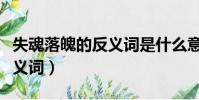 失魂落魄的反義詞是什么意思(失魂落魄的反義詞)