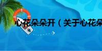 心花朵朵開(關于心花朵朵開的簡介)