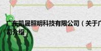 廣東凱晟照明科技有限公司(關于廣東凱晟照明科技有限公司介紹)