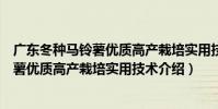 廣東冬種馬鈴薯優質高產栽培實用技術(關于廣東冬種馬鈴薯優質高產栽培實用技術介紹)