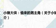 小豬大俠:偷來的男主角(關于小豬大俠:偷來的男主角簡介)