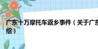 廣東十萬摩托車返鄉事件(關于廣東十萬摩托車返鄉事件介紹)