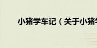 小豬學車記(關于小豬學車記簡介)