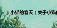 小貓的春天(關于小貓的春天簡介)