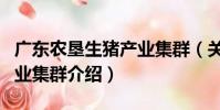 廣東農墾生豬產業集群(關于廣東農墾生豬產業集群介紹)