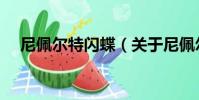 尼佩爾特閃蝶(關于尼佩爾特閃蝶簡介)