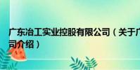 廣東冶工實業控股有限公司(關于廣東冶工實業控股有限公司介紹)