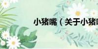 小豬嘴(關于小豬嘴簡介)