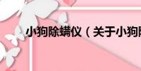 小狗除螨儀(關于小狗除螨儀簡介)