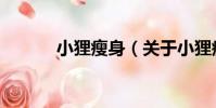 小貍瘦身(關于小貍瘦身簡介)