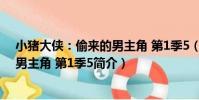 小豬大俠:偷來的男主角 第1季5(關于小豬大俠:偷來的男主角 第1季5簡介)