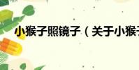 小猴子照鏡子(關于小猴子照鏡子簡介)