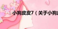 小狗皮皮7(關于小狗皮皮7簡介)