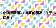 小貓溫斯頓1:真正的朋友(關于小貓溫斯頓1:真正的朋友簡介)