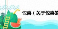 驚喜(關于驚喜的簡介)