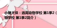 小豬大俠:逃離動物學校 第1季2(關于小豬大俠:逃離動物學校 第1季2簡介)
