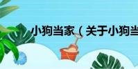小狗當家(關于小狗當家的簡介)