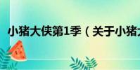 小豬大俠第1季(關于小豬大俠第1季簡介)