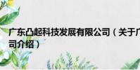 廣東凸起科技發展有限公司(關于廣東凸起科技發展有限公司介紹)