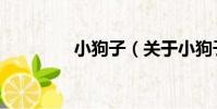 小狗子(關于小狗子簡介)