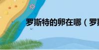羅斯特的卵在哪(羅斯特的卵)