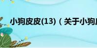 小狗皮皮(13)(關于小狗皮皮(13)簡介)