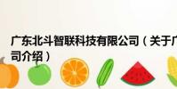 廣東北斗智聯科技有限公司(關于廣東北斗智聯科技有限公司介紹)