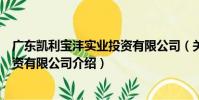 廣東凱利寶灃實業投資有限公司(關于廣東凱利寶灃實業投資有限公司介紹)