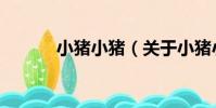 小豬小豬(關于小豬小豬簡介)