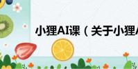小貍AI課(關于小貍AI課簡介)