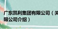 廣東凱利集團有限公司(關于廣東凱利集團有限公司介紹)