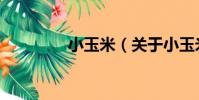 小玉米(關于小玉米簡介)