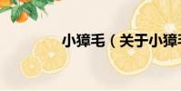 小獐毛(關于小獐毛簡介)