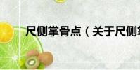 尺側掌骨點(關于尺側掌骨點簡介)