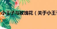 小王子與玫瑰花(關于小王子與玫瑰花簡介)