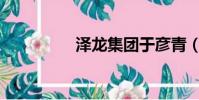 澤龍集團于彥青(zelo)