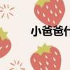 小爸爸什么歌（小爸爸中的歌曲）