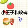小王子和玫瑰花（關于小王子和玫瑰花簡介）