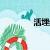 活埋結局電影（活埋結局）