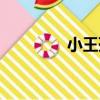 小王孫（關于小王孫簡介）