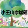 小王山摩崖題刻（關于小王山摩崖題刻簡介）