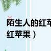 陌生人的紅蘋果閱讀及答案三年級（陌生人的紅蘋果）