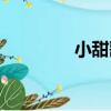 小甜歌（關于小甜歌簡介）