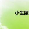 小生犀散（關于小生犀散簡介）