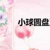 小球圓盤玉（關于小球圓盤玉簡介）