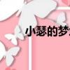 小瑟的夢境（關于小瑟的夢境簡介）